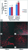 Fig. 9