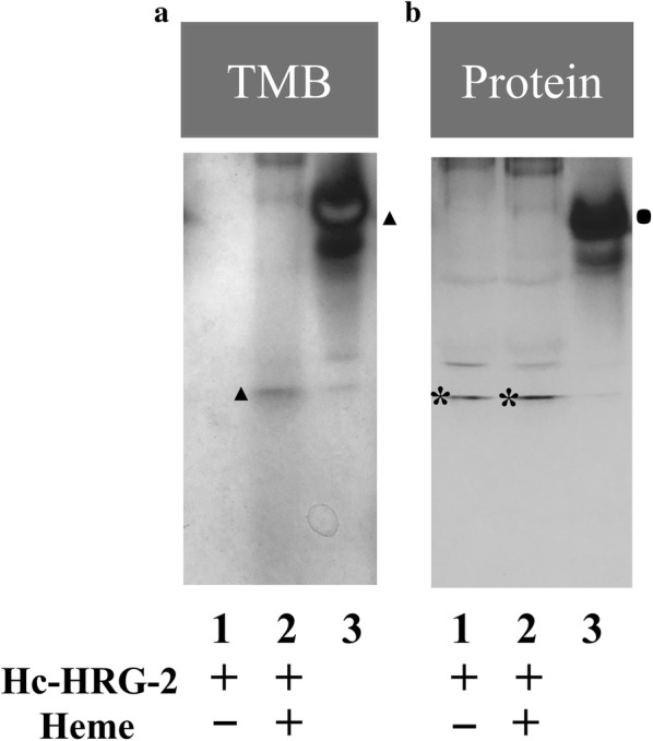 Fig. 6