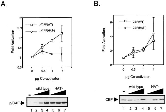 FIG. 6