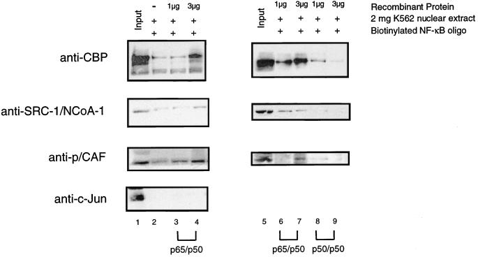 FIG. 7