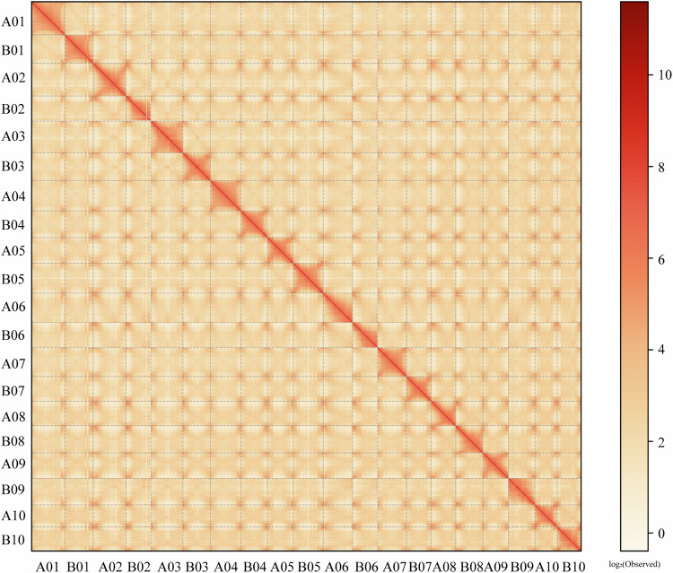 Fig. 3