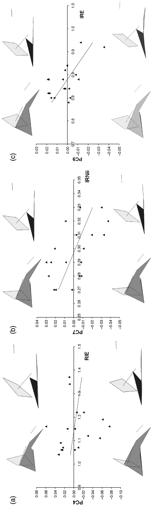 Fig. 12