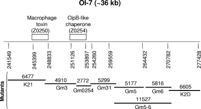 FIG. 1.