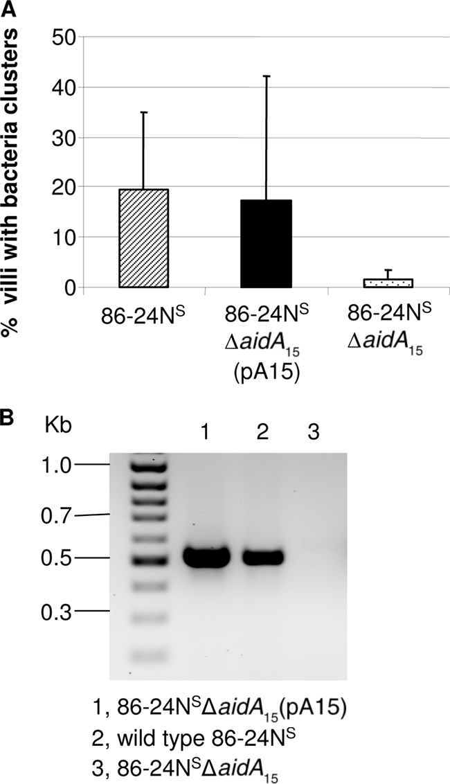 FIG. 5.