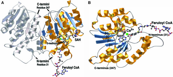 Figure 3.