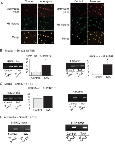 Figure 6