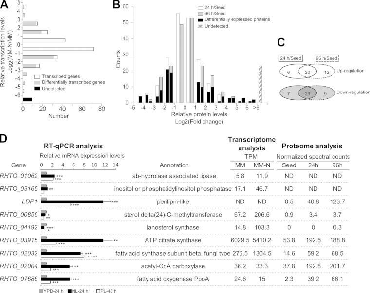 FIG 4