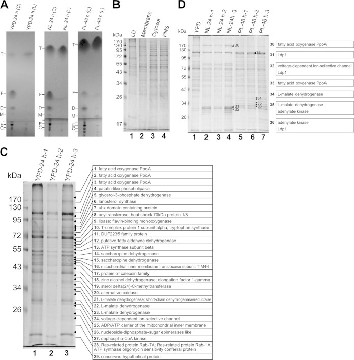 FIG 2