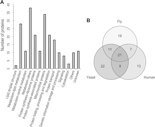 FIG 3