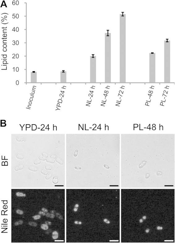 FIG 1