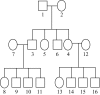 Figure  1.