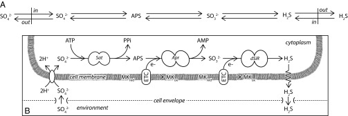 Fig. 1.