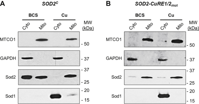 Figure 6