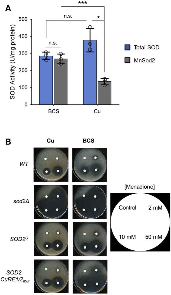 Figure 7