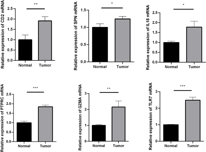 Figure 6