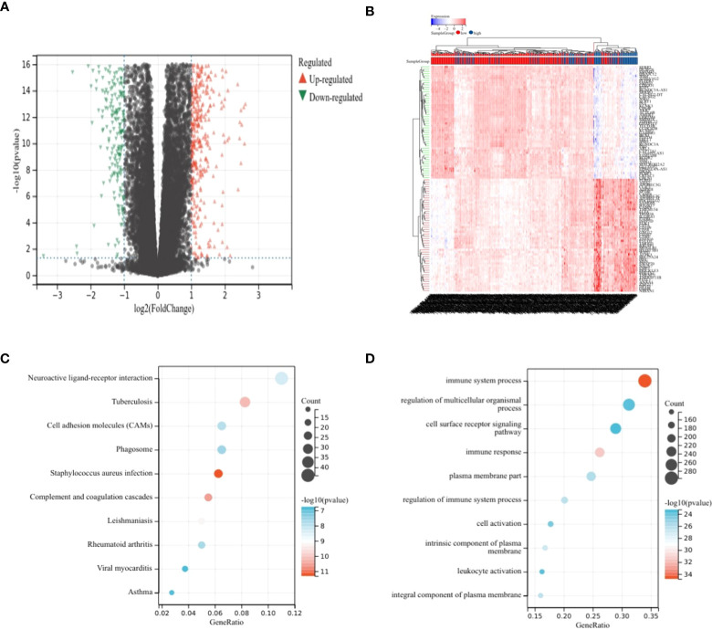 Figure 2