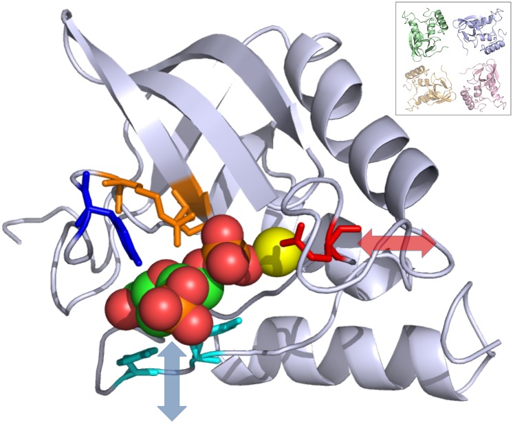 Fig. 2.