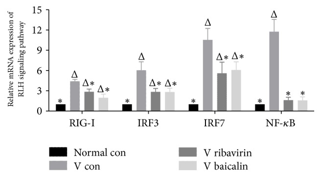 Figure 5