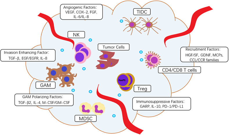 Figure 1: