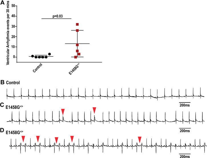 Figure 5