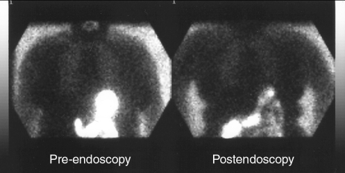 Figure 1)