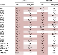 graphic file with name pnas.1417797112st01.jpg