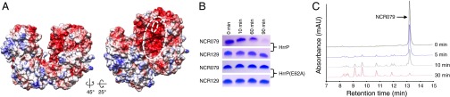 Fig. 4.