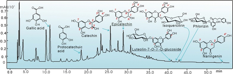 Fig. 3