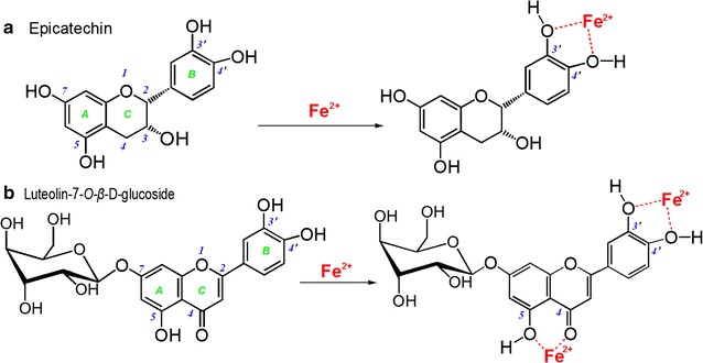 Fig. 6