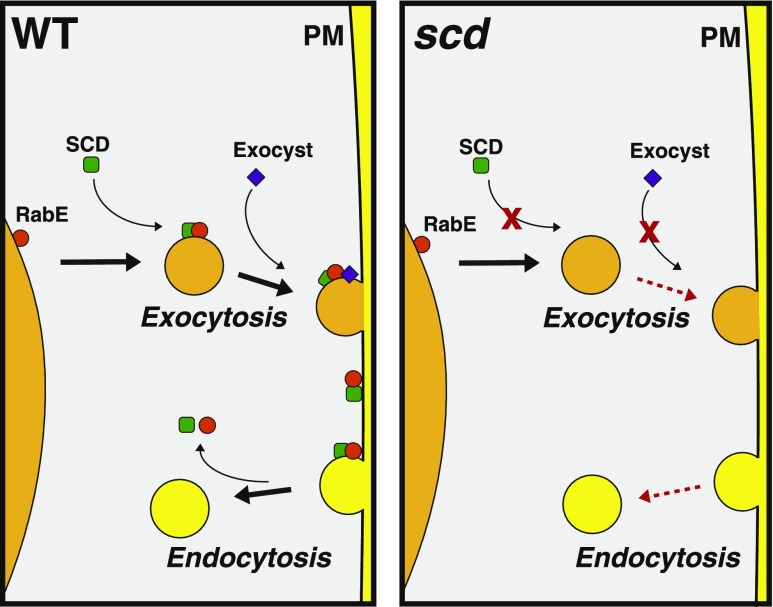 Figure 7.