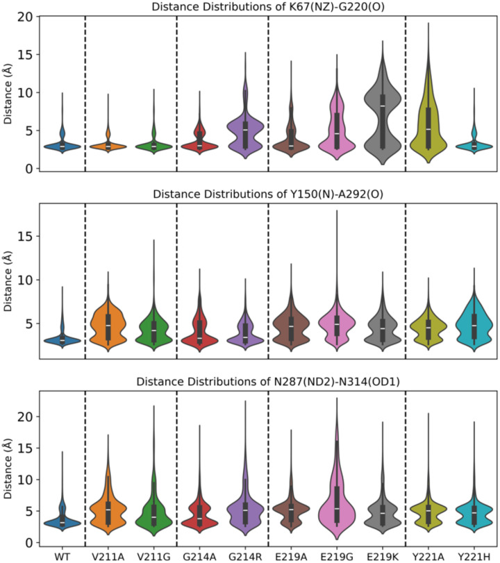 Figure 4—figure supplement 1.