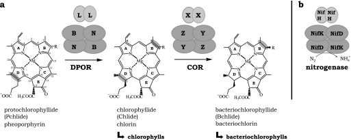 FIGURE 1.