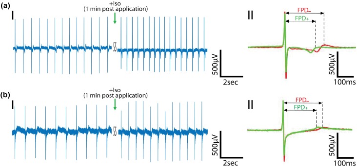 Figure 5