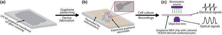 Figure 1