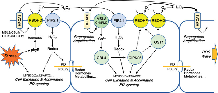 Figure 10