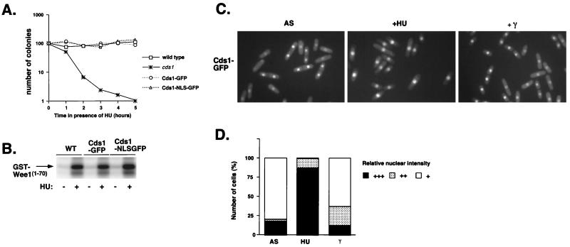 FIG. 6