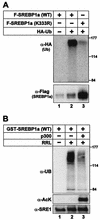 FIG. 8.