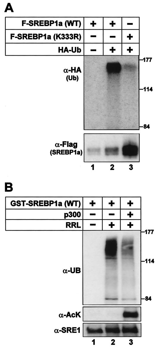 FIG. 8.