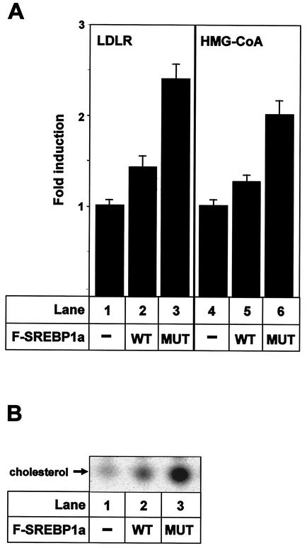 FIG. 9.