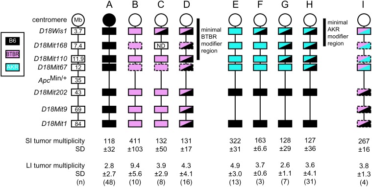 Figure 1.—