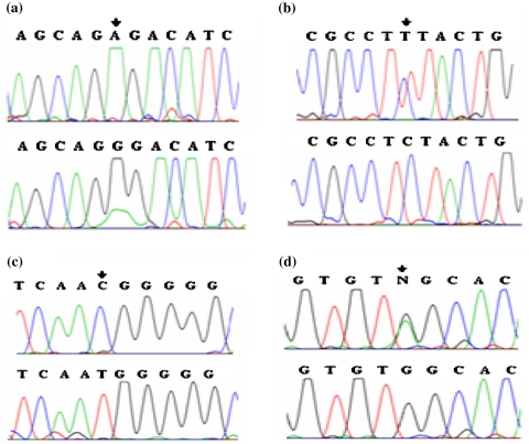 Fig. 2