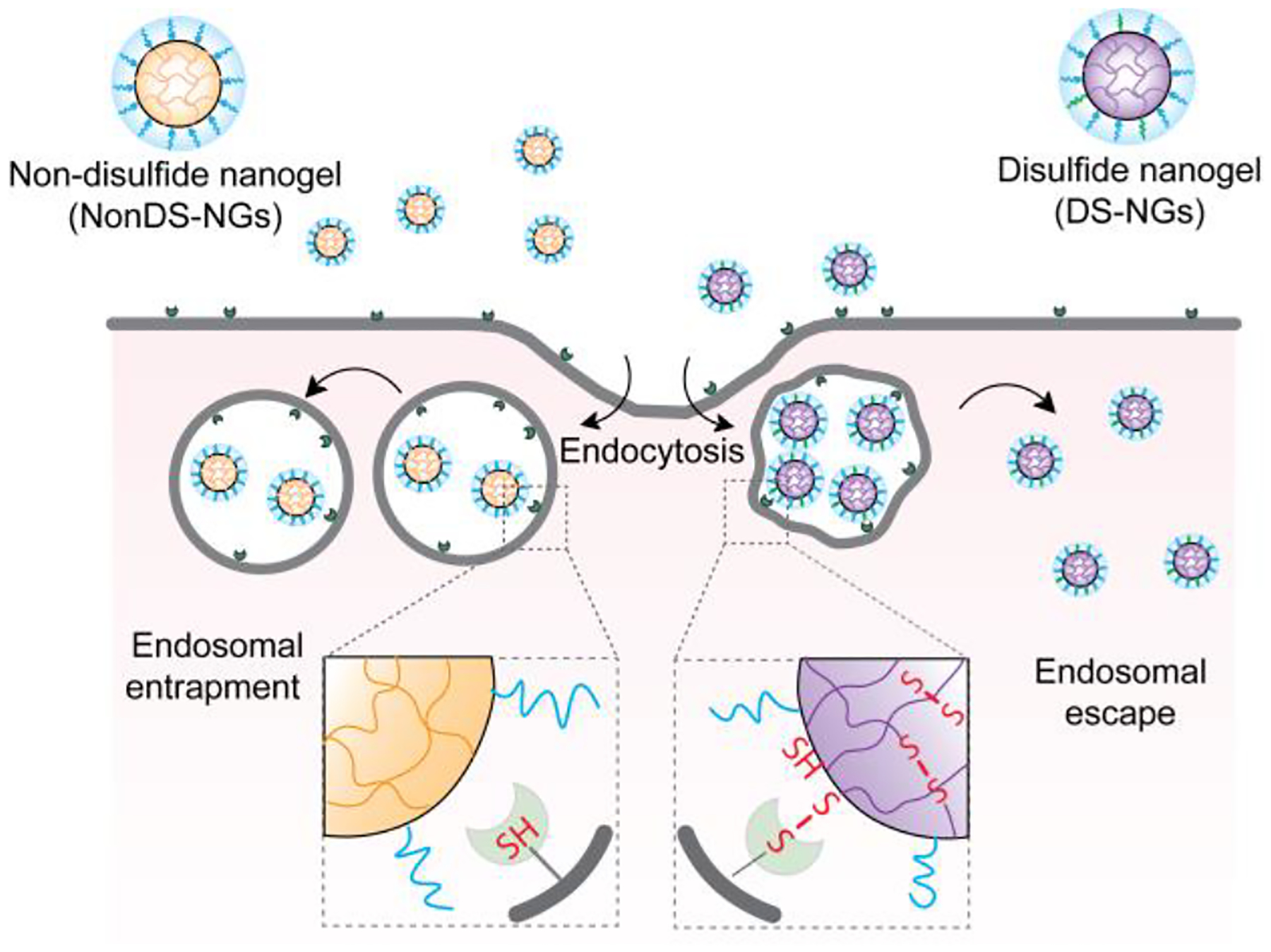 Figure 1: