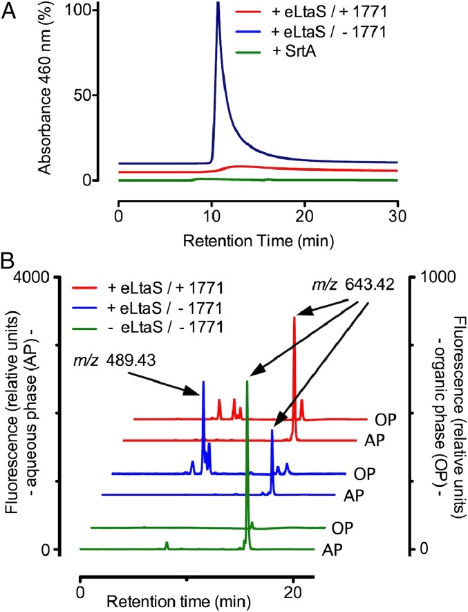 Fig. 3.