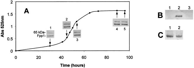 FIG. 6