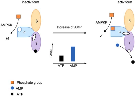 Fig. (1)