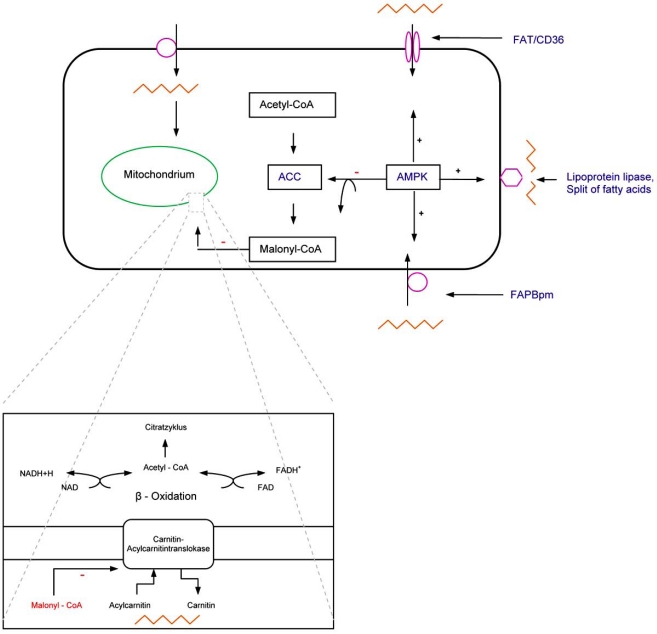 Fig. (2)