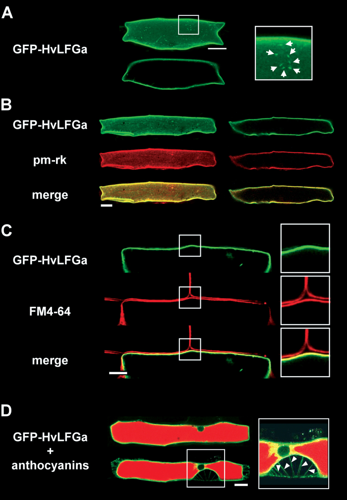 Fig. 3.