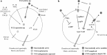 Fig. 1