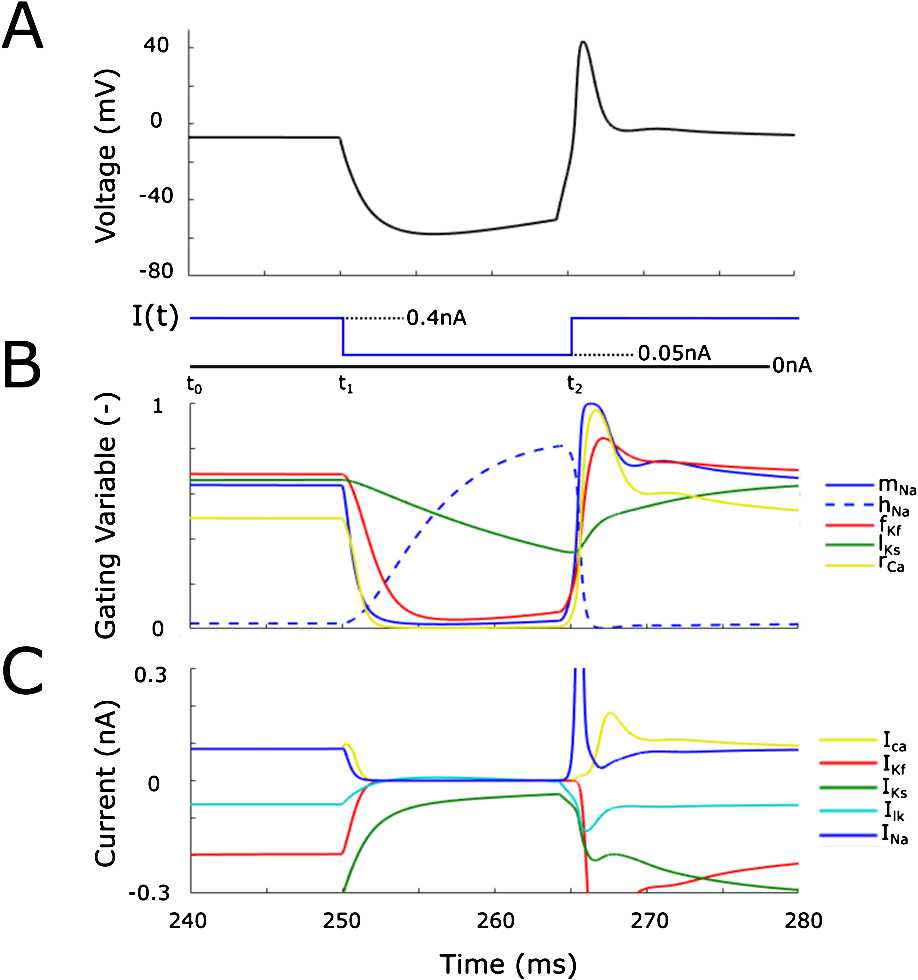 Fig. 2