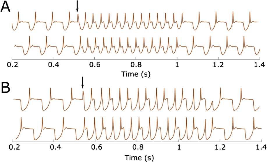 Fig. 11